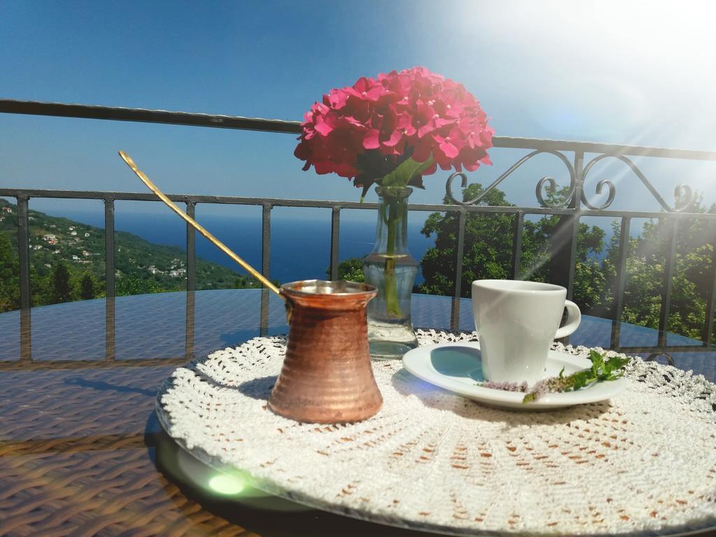 Aroma Piliou - Άρωμα Πηλίου Hotel Mourésion Екстериор снимка